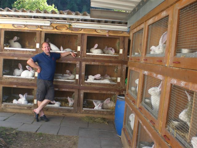 Martin-Wachter-Stall-1.IMG_